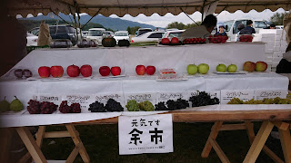 skydivehokkaido Seasonal fruits