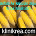 Manfaat Air Rebusan Jagung Untuk Kesehatan 