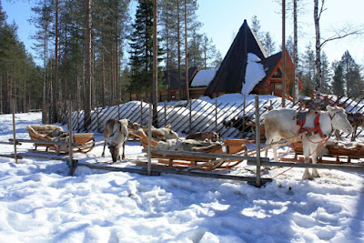  Reindeer Sleigh in Santa Claus Village