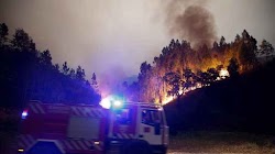  Πύρινη λαίλαπα καίει τα πάντα στο διάβα της, σε δασική περιοχή στη Λεϊρία της κεντρικής Πορτογαλίας   - Ολονύχτιος αγώνας των πυροσβεστών γ...