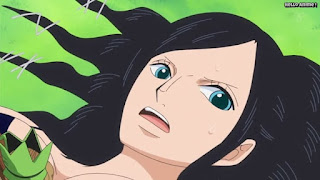 ワンピースアニメ ドレスローザ編 641話 ニコロビン | ONE PIECE Episode 641