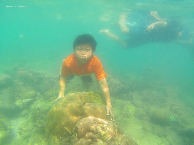 Snorkeling Pulau Pari