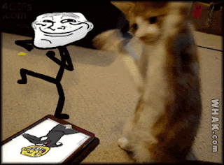 Animasi Dp Bbm Kucing Joget