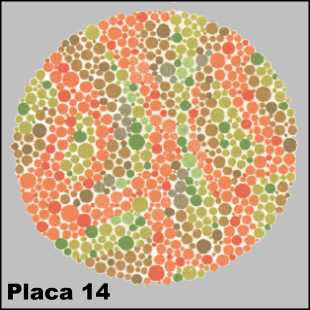 Teste de Ishihara - Placa número 14