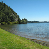 View album
