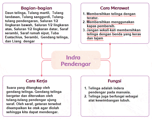 Peta Pikiran Indera Pendengar