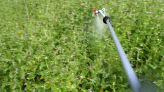 雑草と噴霧器