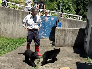 秋田　観光　くまくま園　子供　喜ぶ　家族連れ　ファミリー　動物園