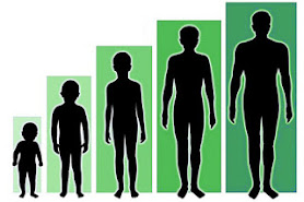 Grow taller
