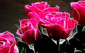 free downlod love rose dil  hd wallpapers 009