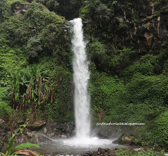 [http://FindWisata.blogspot.com] Coban Tengah, Air Terjun Yang Kaya Akan Alamnya