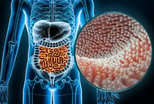 The Secret to Boosting Gut Microbiome Diversity for Optimal Health