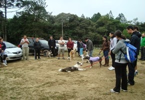 Patas 49 (11)