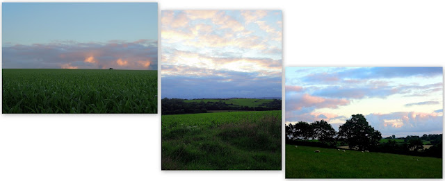 farmland in france