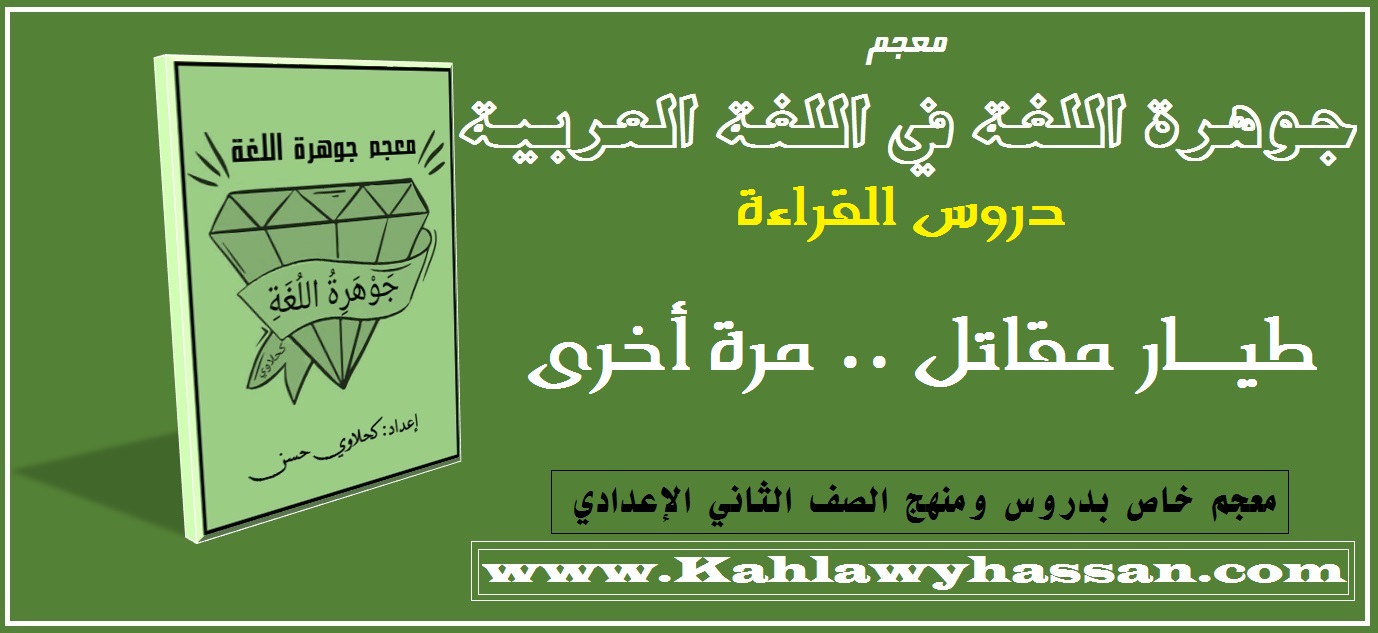 معجم (جوهرة اللغة) في اللغة العربية  القراءة - موضوع (طيار مقاتل .. مرة أخرى) الصف الثاني الإعدادي