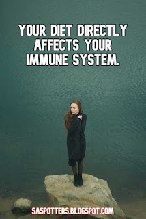 Your diet directly affects your immune system.