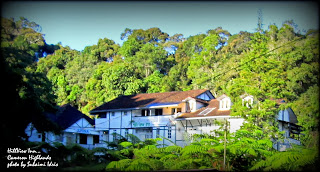 Marina Chalet and Homestay, Kampung Taman Sedia, Tanah Rata, Brinchang, Cameron Highlands,http://marinachalet.blogspot.com/