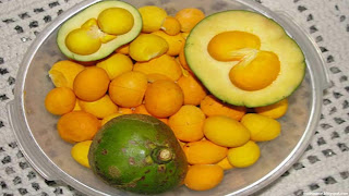 pequi fruit images wallpaper