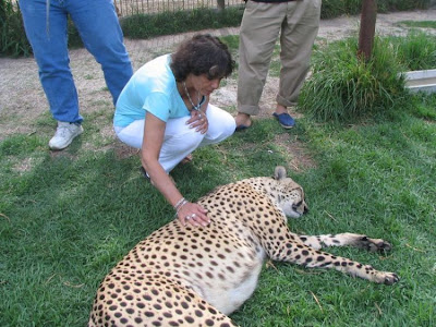 Kebun Binatang Paling Berbahaya di Dunia - Lujan Zoo31