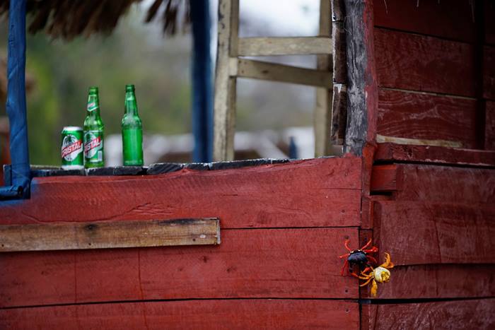 Crab migration in Cuba