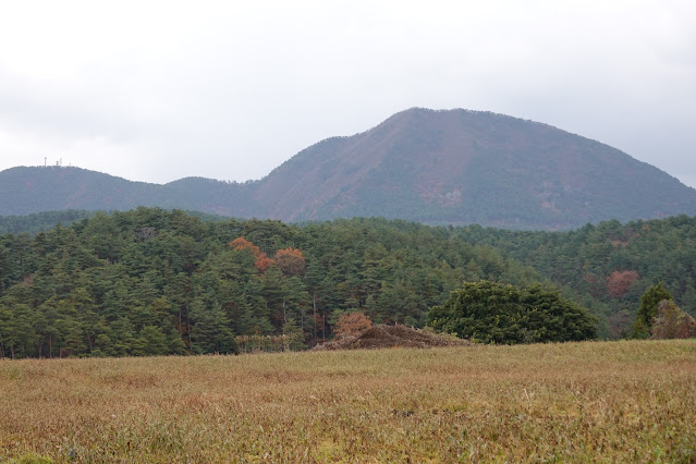 鳥取県西伯郡大山町赤松 付近の眺望