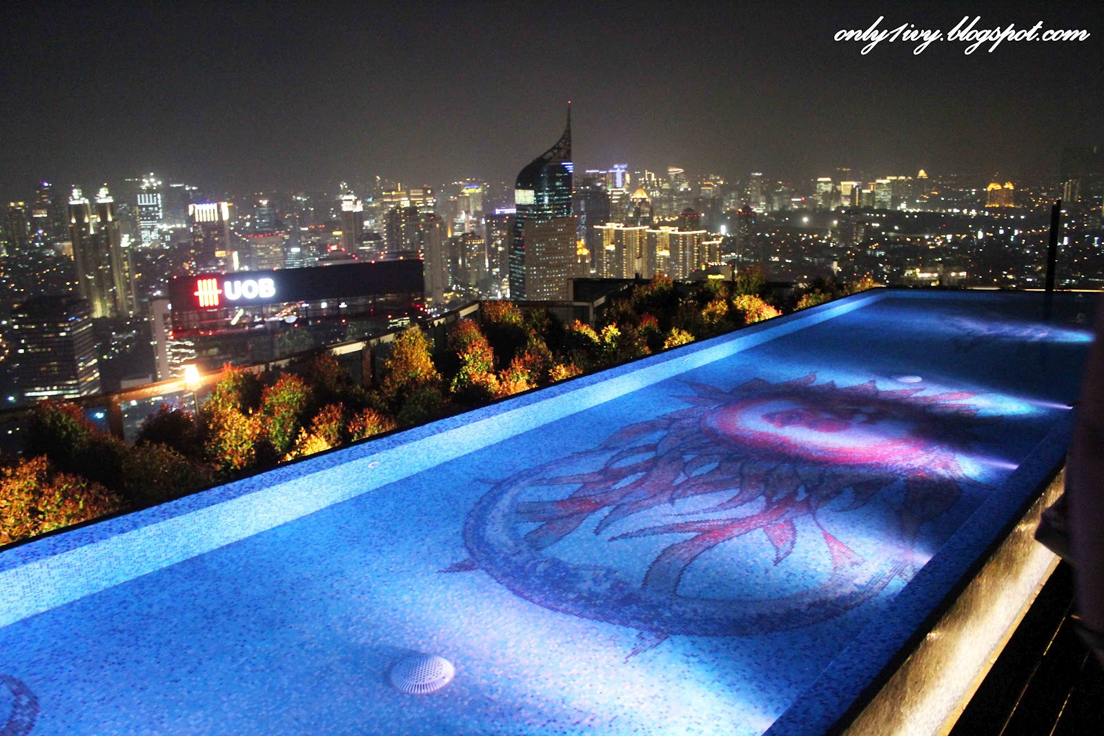 skye pool view