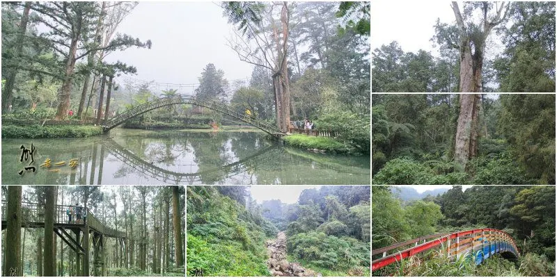 南投景點|溪頭自然教育園區|溪頭神木|天空走廊|大學池