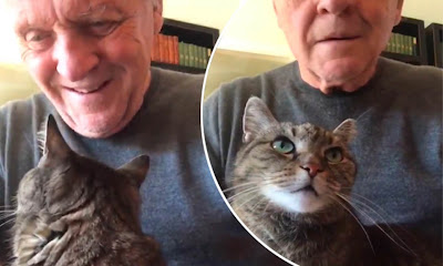 El actor Anthony Hopkins lamenta la pérdida de su amado gato en un video que le partió el corazón a todos los amantes de los gatos