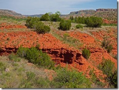 Palo Duro Canyon State Park