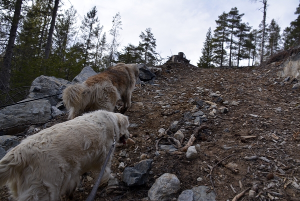 Tuftinåsen Jonskollen