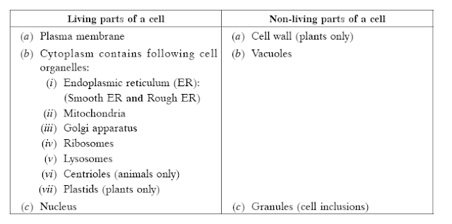 NCERT SCIENCE SOLUTION