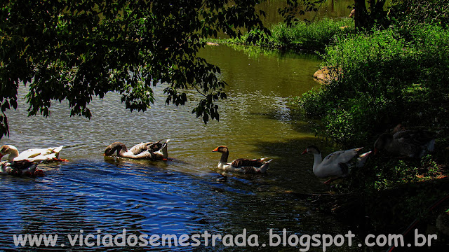 turismo em Vista Alegre do Prata, RS