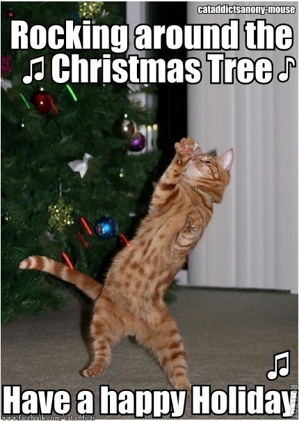 The Eco Cat Lady Speaks: My Favorite Christmas Carol