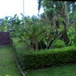 View album
