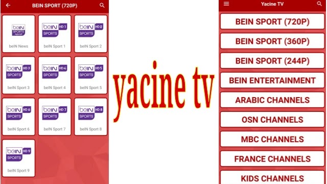 تطبيق ياسين تي في yacine tv  أفضل تطبيق لمشاهدة مباريات كأس العالم مجاناً
