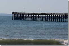 IMG_1956_1