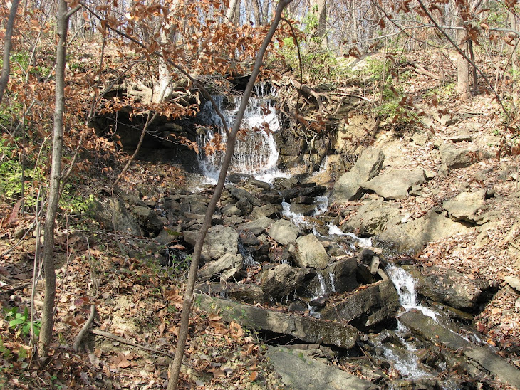 Parkville Nature Sanctuary