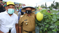 Wujudkan Lampung sebagai Lokomotif Pertanian Indonesia, Gubernur Arinal Panen Perdana Melon dan Semangka di Agrowisata Hortipark Pesawaran