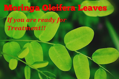 Moringa oleifera leaves, benefits