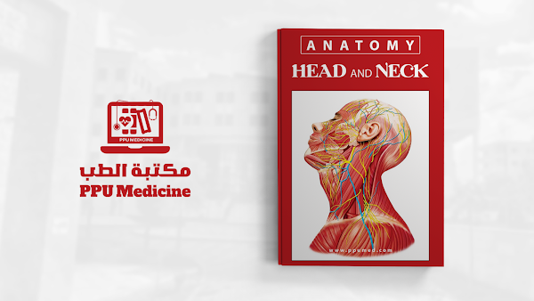 مساق علم التشريح 3 ( الرأس والرقبة ) | Anatomy 3