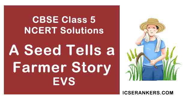 NCERT Solutions for Class 5th EVS Chapter 19 A Seed Tells a Farmer Story