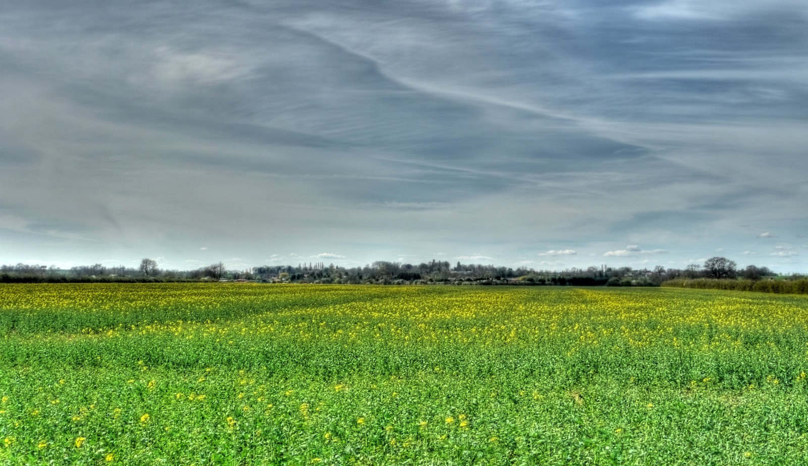 P1080047_2_3_4_8_5_6_tonemapped.jpg