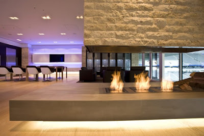 Great EcoSmart Fireplace Designs