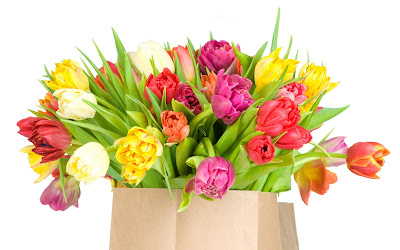 Tulipanes de colores para el Día de las Madres