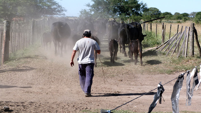 Los trabajadores rurales aceptaron un bono de fin de año de $10.000 