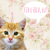 Doenças dos Gatos: FIV e FeLV
