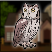 Screech Owl Rescue Walkth…