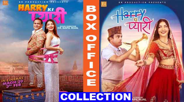 Harry Ki Pyari Box Office Collection