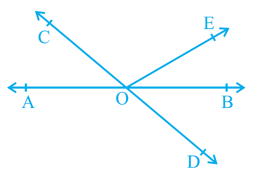 Exercise 6.1 Question 1