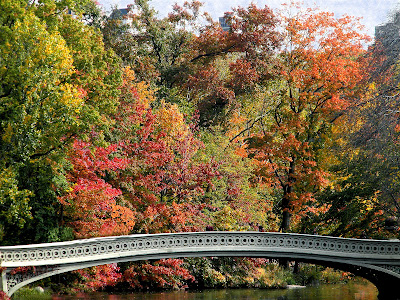 Bow Bridge Central Park New York City